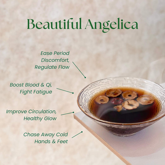 Beautiful Angelica Soup 美人汤